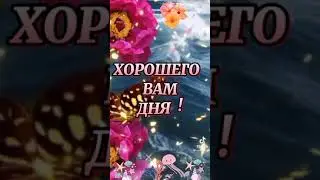 хорошего дня!!!