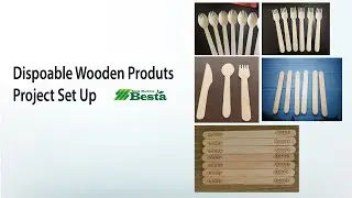 Disposable Wooden Product Making Project Set Up