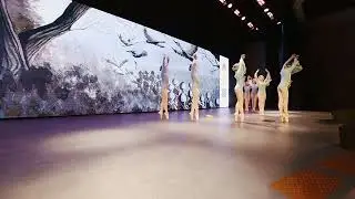 Журавли. Елизавета Шаповалова и Мастерская танца ДШИ Исток.