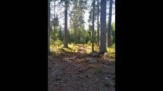 №44 Насыщение энергией