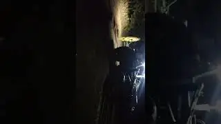 🌃 сенокос сгребание, и фары