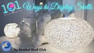 101 Ways to Display Shells