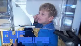 Lecker! Kleiner Junge sitzt im Popcorn-Automat! | Auf Streife | SAT.1 TV