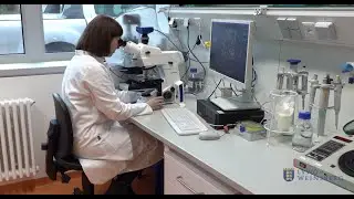 Mikrobiologie – im Labor mit mikroskopisch kleinen Organismen arbeiten