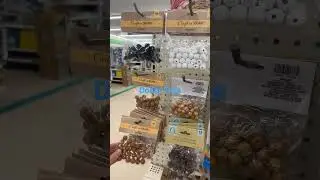 RANDOM NEW FINDS AT DOLLAR TREE￼