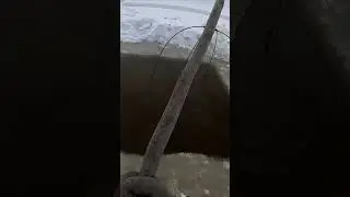 Бешенный улов на подёмник!!!