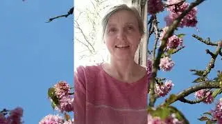 ОТЗЫВ Ольги  о КУРСЕ Медитация ОНЛАЙН у А. Терентьева