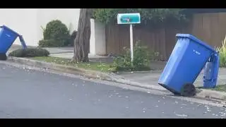 Trash Pickup at my House so Far!