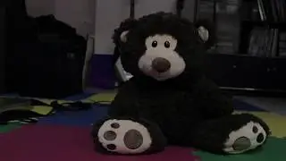 ISOLATION (Short Film) - A Noir Comedy About A Stuffed Bear In Quarantine
