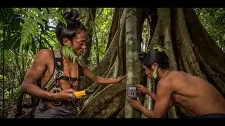 Knowing Nature: New Conservation Technologies and Knowledge Systems to Support the SDGs