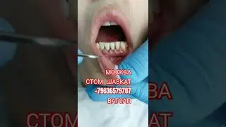 29 июня 2024 г.