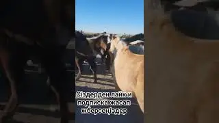 27 декабря 2023 г.