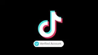 How to Apply for Verification Request to Tiktok using Twitter