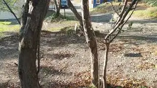 Место 4С