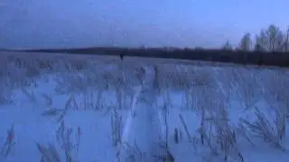 На SnowDog по снежной целине. 24.01.16.