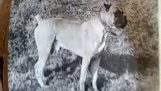 Я ж не лох - хочу так жить