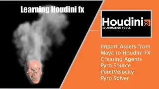 Urgent Alert! Learn How to Create Mesmerizing Smoke Effects with Houdini FX
