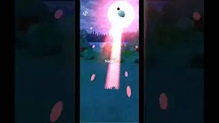 Finally got a Todblub Pokemon in nature