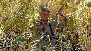 Рыбалка в Приморье. Река Журавлёвка 22.09 - 28.09.2023 г. Часть 6.