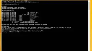 Live packet capture and create pcap using pyshark in python
