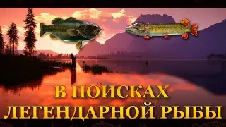 💙💛 Call of the Wild: The Angler. В поисках легендарной рыбы 30-03-2024 💛💙