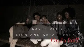 TRAVEL VLOG: SOUTH AFRICA SERIES: LION AND SAFARI PARK (ON L'A FAIT!)
