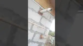 отзыв х.Вишняки Волгоградская обл
