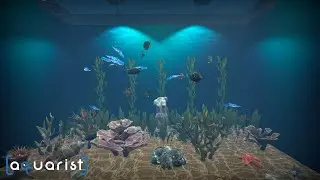 Aquarist - стройте аквариумы, разводите рыбу, развивайте свой бизнес.