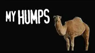 Black Eyed Peas - My Humps Riddim