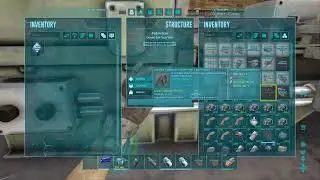 Ark