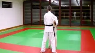 judo - Ko Uchi Gari-O Goshi-.avi
