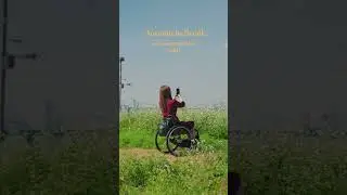 하늘공원 제외 서울 역세권 억새 명소