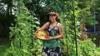 August Garden Tour | Silent Tour And Harvest