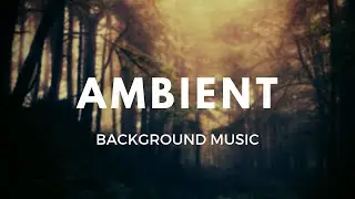 Light Sadness - Royalty-Free Background Music | Ambient