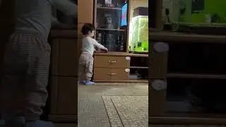 Болтушка маленькая.Эмисса