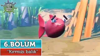 Çürük Ali ve Mikrop Necati 6. Bölüm - Kırmızı Balık 🐠