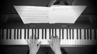Forbidden Forest by Imogen Heap | Piano Cover