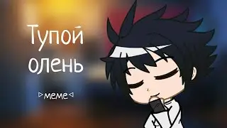 Тупой олень // меме