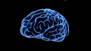 I am completely free from all mental and emotional blockages single Affirmation Subliminal