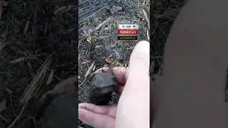 РАСКОПКИ МЕТАЛЛОЛОМА НА СВАЛКЕ.