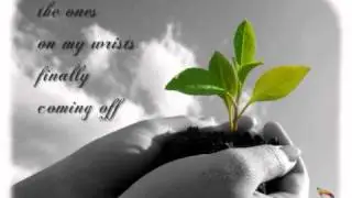 Spencer Bell - Cleaning up (lyrics)