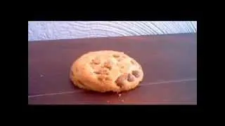 Milk and Cookies by Melanie Martinez (EAH Stop Motion)