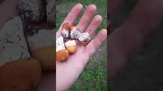 Маленькие красноголовики))