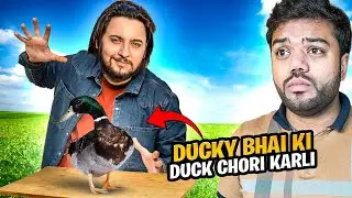 DISCOVER FREE BIGGEST SWIMMING 🏊‍♂️ POOL |  DUCKY BHAI KI DUCK 🦆 CHORI