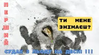 СУДАК !!! А хвости втікають на велику воду! Морівськ! Десна! Чернігівщина!