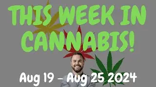 This Week in Cannabis News - Aug 19 to Aug 25 2024