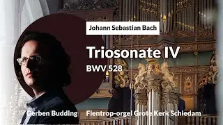 Bach: Organ Sonata No.4 in E minor, BWV 528 | Gerben Budding, Grote Kerk Schiedam