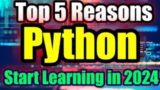 Top 5 Reasons to Learn Python in 2024 : Start Learning Python to Attain New Heights in Your Career