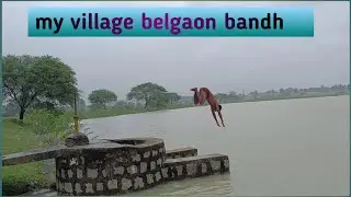 my village// full masti // SURGUJA VLOG
