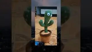 bek bek bek bek 🤣🤣